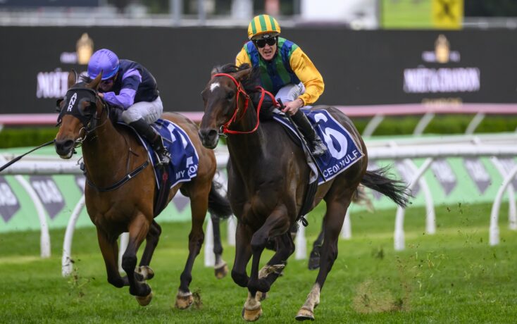 的常规赛表 的常规赛表